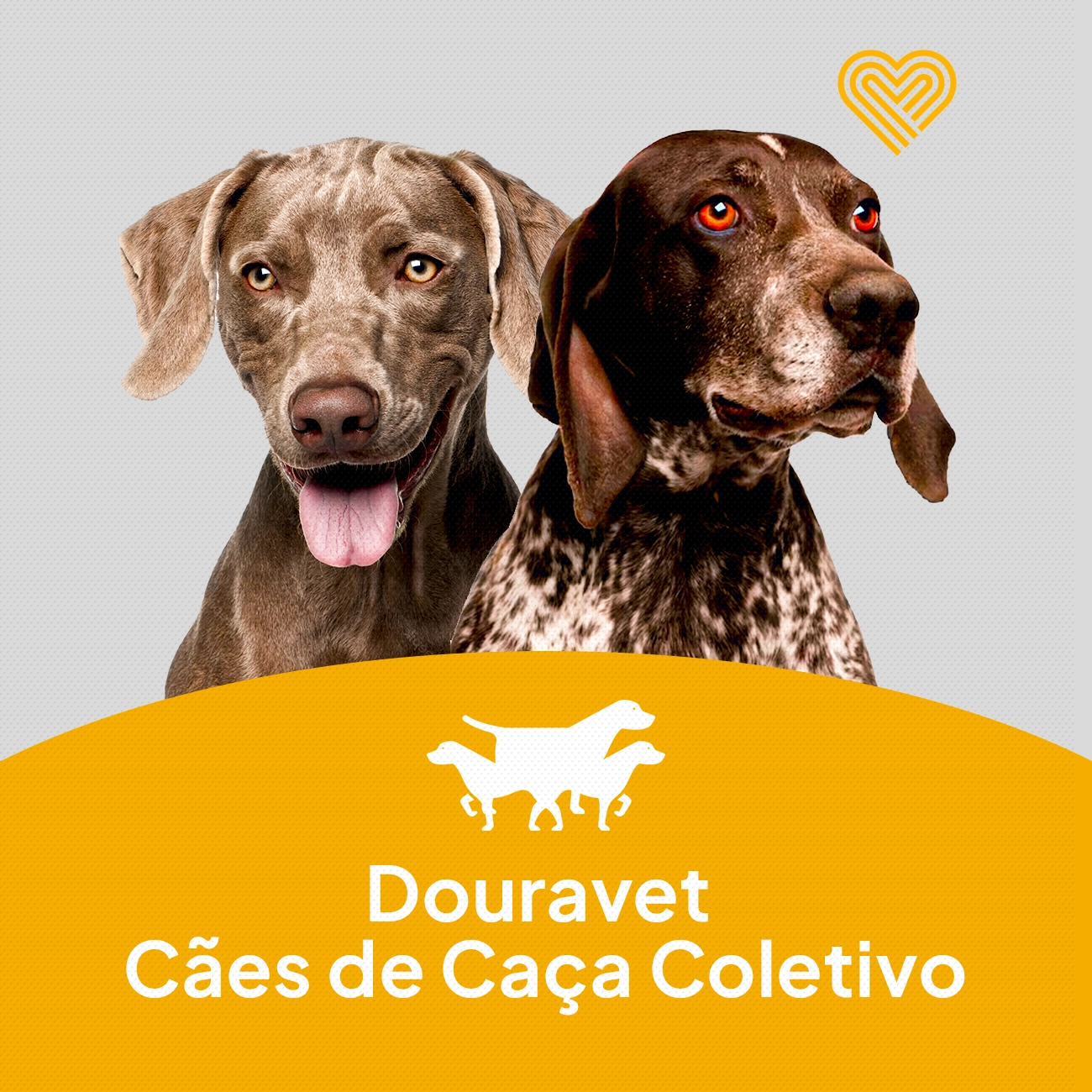Douravet Caça Coletivo